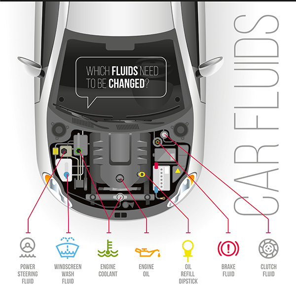 The 5 Most Important Car Fluids You Need to Check Regularly | Strande's Garage